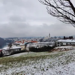 Marof Mansion - Novo Mesto