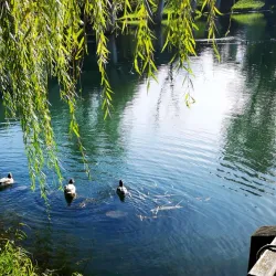 Novo Mesto Old Town - Novo Mesto