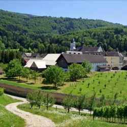 Pleterje Charterhouse - Novo Mesto