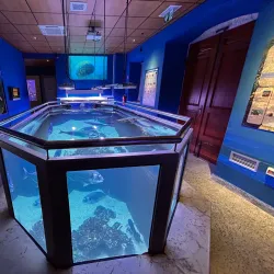 Piran Aquarium - Piran