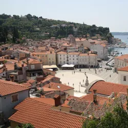 Piran Harbor - Piran