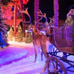 Casino Riviera - Portoroz