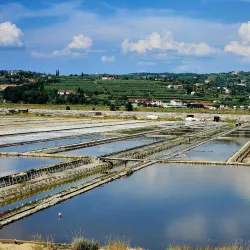 Sečovlje Salina Nature Park - Portoroz