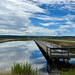 Sečovlje Salina Nature Park - Portoroz