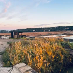 Sečovlje Salina Nature Park - Portoroz