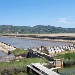 Sečovlje Salina Nature Park - Portoroz