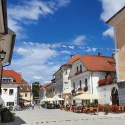 Apiculture Museum (Čebelarski Muzej) - Radovljica