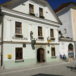 Apiculture Museum (Čebelarski Muzej) - Radovljica