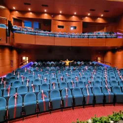 Radovljica Cultural Events - Radovljica