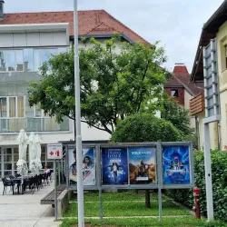 Radovljica Cultural Events - Radovljica