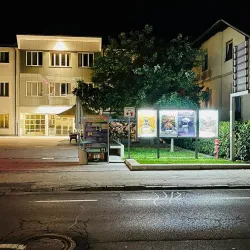 Radovljica Cultural Events - Radovljica