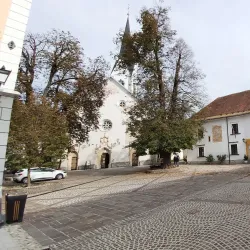 Radovljica Mansion (Radovljiški Dvorec) - Radovljica