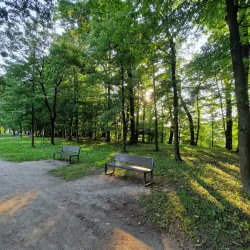 Ravne City Park - Ravne na Koroškem