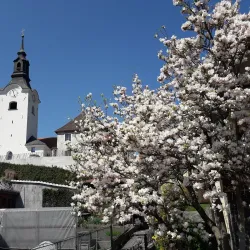 Ravne na Koroškem Cultural Center - Ravne na Koroškem