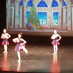 Ravne na Koroškem Cultural Center - Ravne na Koroškem