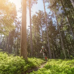 Ravne na Koroškem Sports Center - Ravne na Koroškem