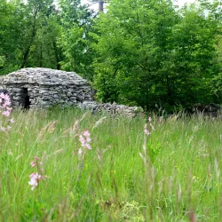 Kras Museum (Kraški muzej) - Sezana