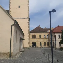 Church of St. Elizabeth - Slovenj Gradec
