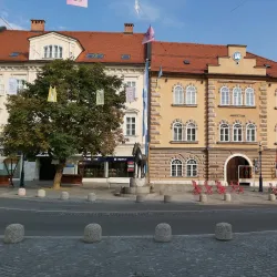 Museum of Slovenj Gradec - Slovenj Gradec