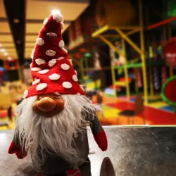 Paka River Park - Slovenj Gradec