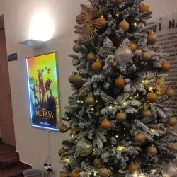 Slovenj Gradec Cultural Center - Slovenj Gradec