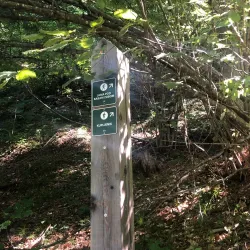 Jezersko Cave (Jama pod Babjim Zobom) - Tolmin
