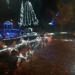 Park Trbovlje - Trbovlje