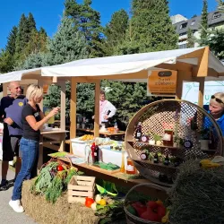 Park Trbovlje - Trbovlje