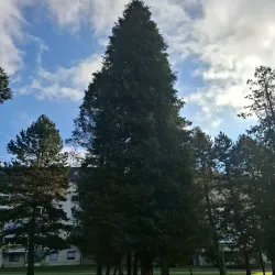 Park Trbovlje - Trbovlje