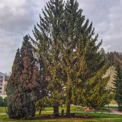 Park Trbovlje - Trbovlje