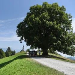 Church of St. Primus and Felician - Trzic