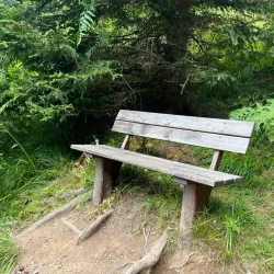 Karavanke Mountains - Trzic