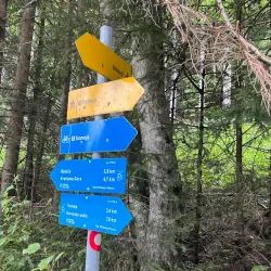 Karavanke Mountains - Trzic