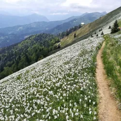 Karavanke Mountains - Trzic