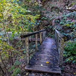 Lipnica Gorge - Trzic