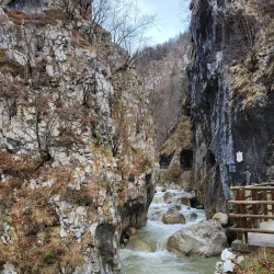 Lipnica Gorge - Trzic