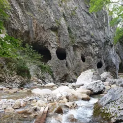 Lipnica Gorge - Trzic