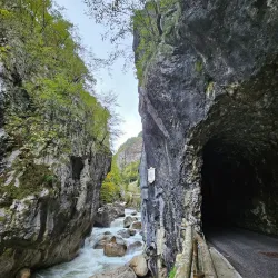 Lipnica Gorge - Trzic