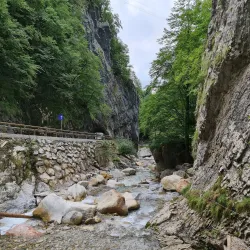 Lipnica Gorge - Trzic