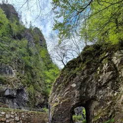 Lipnica Gorge - Trzic