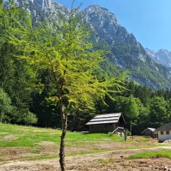 Natural Park Zgornje Jezersko - Trzic