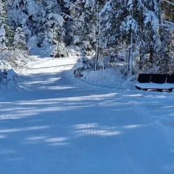 Natural Park Zgornje Jezersko - Trzic