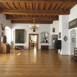 Celje Regional Museum (nearby) - Vojnik