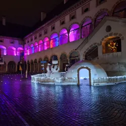 Celje Regional Museum (nearby) - Vojnik