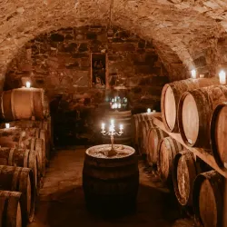 Local Wine Tasting Tours - Vojnik