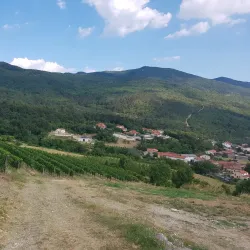 Local Wine Tasting Tours - Vojnik