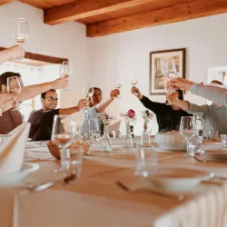 Local Wine Tasting Tours - Vojnik