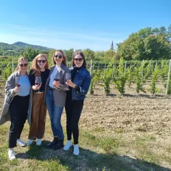 Local Wine Tasting Tours - Vojnik