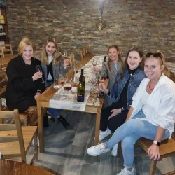 Local Wine Tasting Tours - Vojnik
