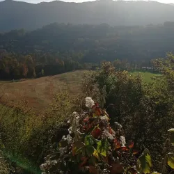 Sava River Walks - Vojnik